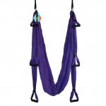 Pellor Yoga Fitness Inversion Swing Aerial Pilates Flying Yoga Hammock Max 200KG (Violet)